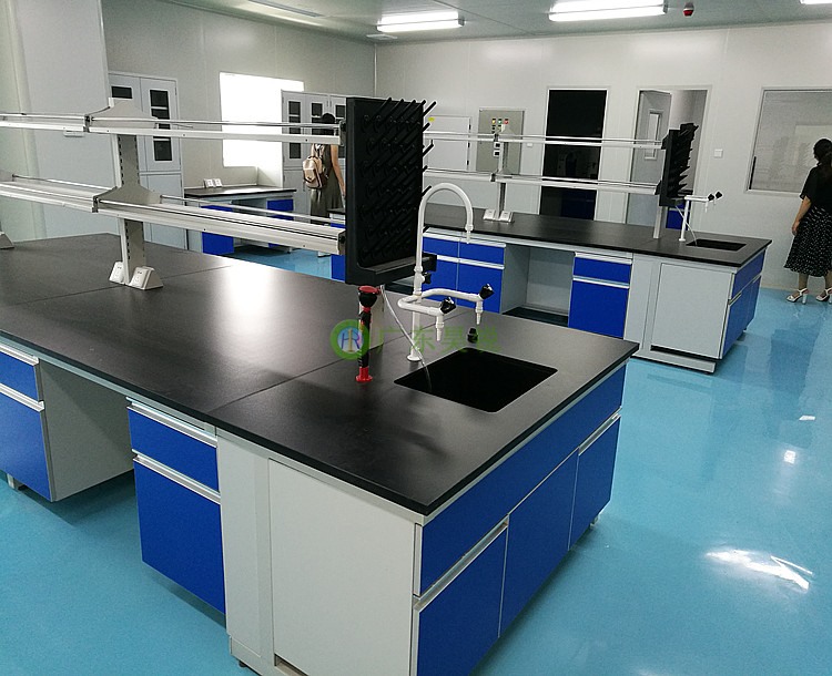 深圳愛生再生生物實(shí)驗(yàn)室凈化車間